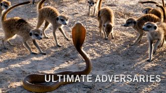Episode 3 Ultimate Adversaries