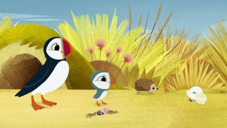 Episode 34 Puffin Treasure