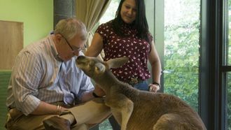 Episode 1 Kangaroo Dave