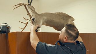Episode 5 Yes, Deer?