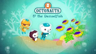 Episode 9 The Damselfish