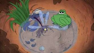 Episode 7 The Swamp of Education