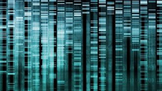 Episode 15 Cracking Your Genetic Code