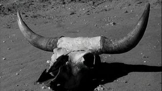 Episode 30 Drought