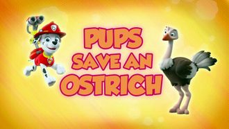 Episode 2 Pups Save Big Paw/Pups Save the Hum-Mover