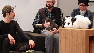 Episode 9 Felines and Frenemies?