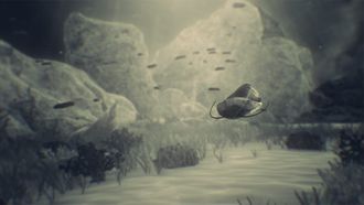 Episode 6 Life