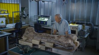Episode 9 Museum Alive With David Attenborough