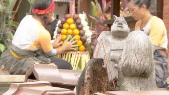 Episode 4 I Love Monkeys!