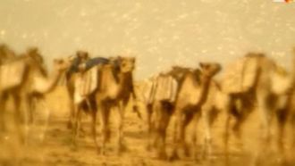 Episode 7 Timbuktu