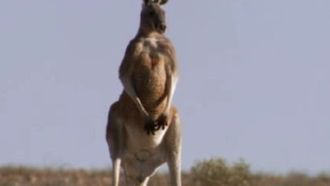 Episode 2 Australia