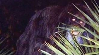 Episode 9 Swamp Beast