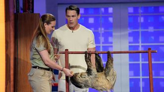 Episode 13 Zookeeper
