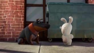 Episode 33 Sticky Rabbid