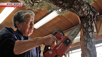 Episode 16 Bonsai Master - Kobayashi Kunio