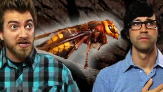 Episode 4 Chinese Hornets for Breakfast