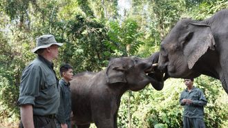 Episode 2 Walking with Elephants