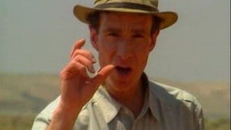 Episode 11 Archaeology