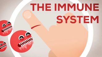Episode 9 The Immune System Explained I — Bacteria Infection