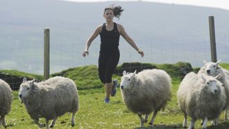 Episode 3 Get Your Sheep Together