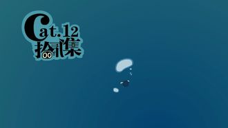 Episode 12 Pickup