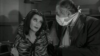 Episode 20 Bats of a Feather