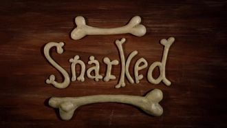 Episode 10 Snarked!