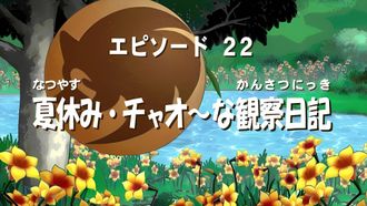 Episode 22 Summer Vacation Chao Observation Diary