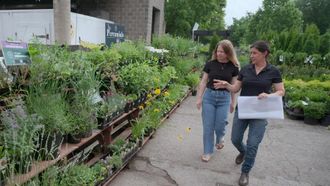 Episode 7 Nashville: Shelter From the Storm
