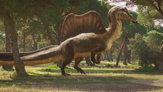 Episode 2 The River Dragon