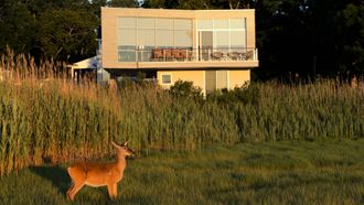Episode 5 Long Island: Sag Harbor