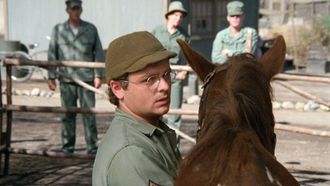 Episode 11 The Colonel's Horse