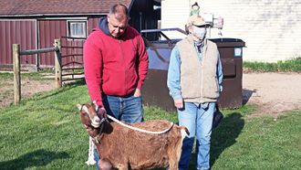 Episode 4 Goat Get 'Em
