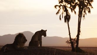 Episode 12 Salvation | Katavi: Africa's Fallen Paradise