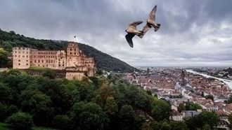 Episode 1 Heidelberg: Secrets in Stone