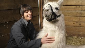 Episode 6 Skunks and Llamas