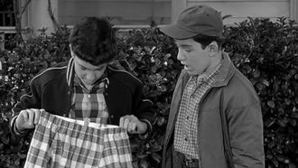 Episode 25 Beaver's Laundry