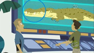 Episode 11 Crocogator Contest