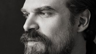 Episode 12 David Harbour