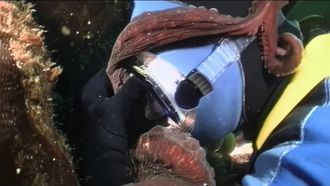 Episode 8 Unstoppable Danger