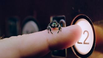 Episode 5 The Making of ... a Fly on the Wall