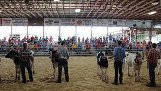 Episode 10 Raging Bulls