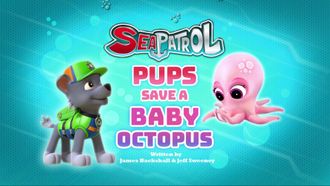 Episode 17 Pups Save a Space Rock/Pups Save a Good Mayor
