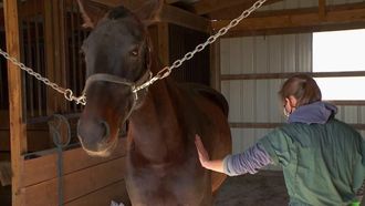 Episode 6 Cold Your Horses