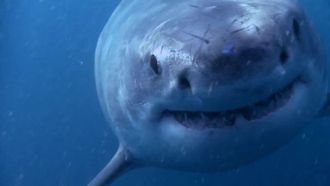 Episode 8 Australia's Deadliest Coast