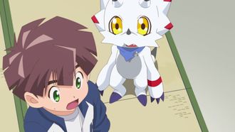 Episode 39 Contagion Island