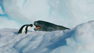 Episode 1 Antarctica
