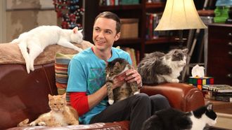 Episode 3 The Zazzy Substitution