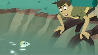 Episode 20 Archerfish School