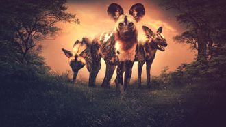 Episode 13 Nature's Fear Factor